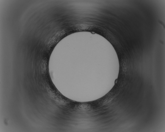 X0000103260546200809261141