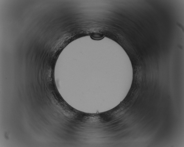 X0000103260548200809261141