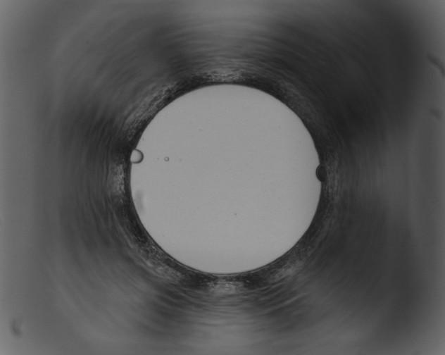 X0000103260549200809261141