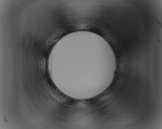 X0000103260550200809261141