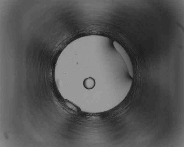 X0000103260552200809261141