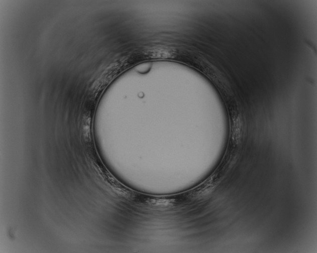 X0000103260553200809261141