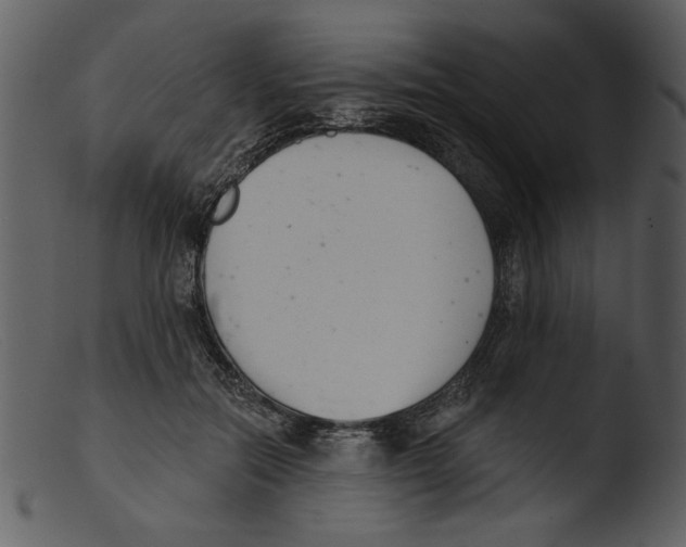 X0000103260554200809261141