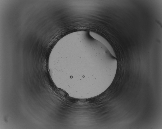 X0000103260556200809261141