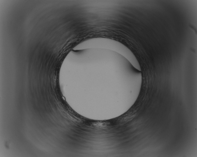 X0000103260558200809261141