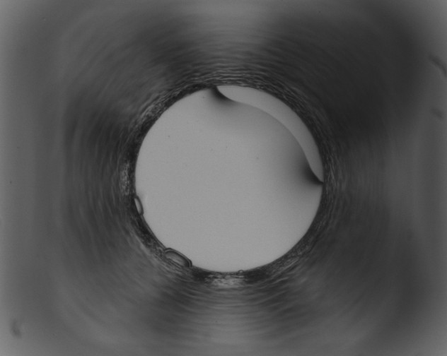 X0000103260560200809261141