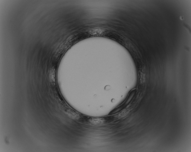 X0000103260561200809261141