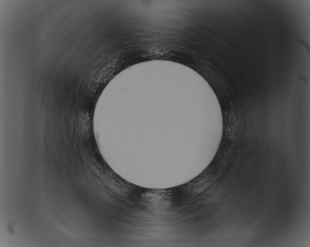 X0000103260563200809261141