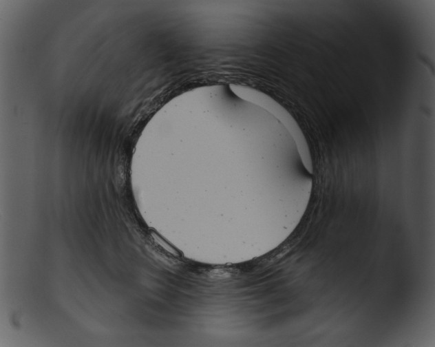 X0000103260566200809261141