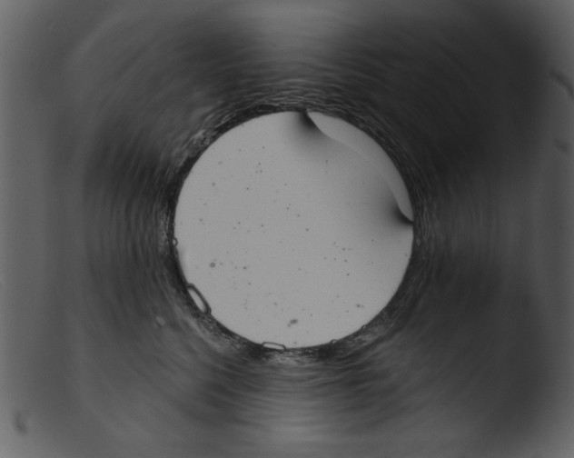 X0000103260568200809261142