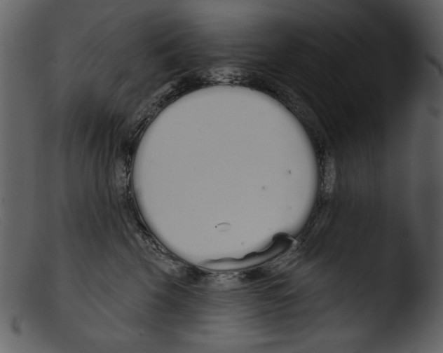 X0000103260569200809261142