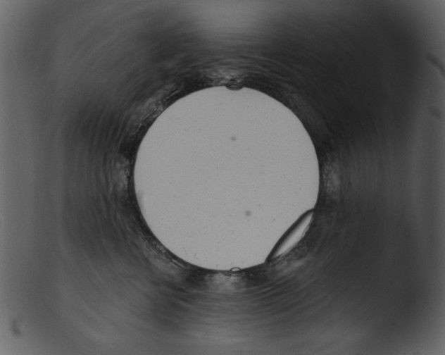 X0000103260570200809261142