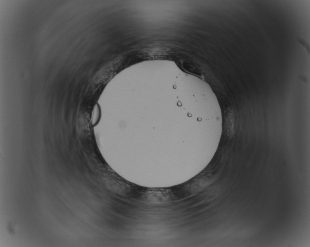 X0000103260571200809261142