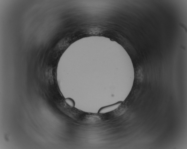 X0000103260572200809261142