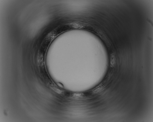 X0000103260573200809261142