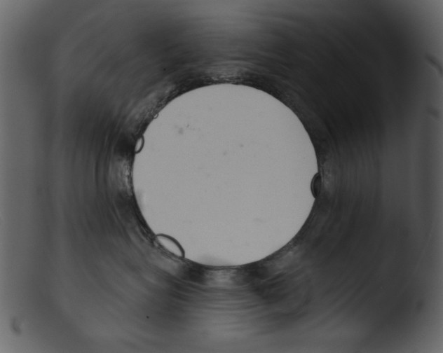 X0000103260575200809261142