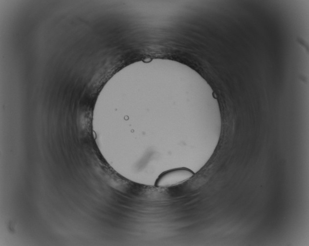 X0000103260576200809261142