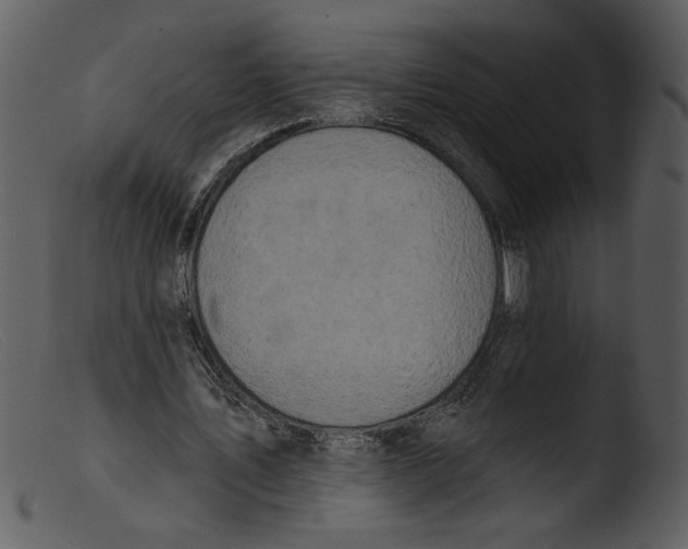 X0000103260579200809261141