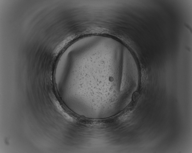 X0000103260581200809261141