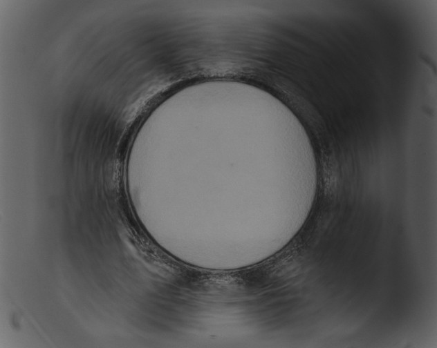 X0000103260583200809261141