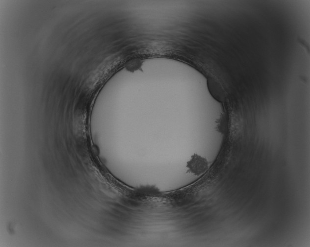 X0000103260585200809261141