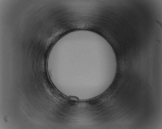 X0000103260587200809261141