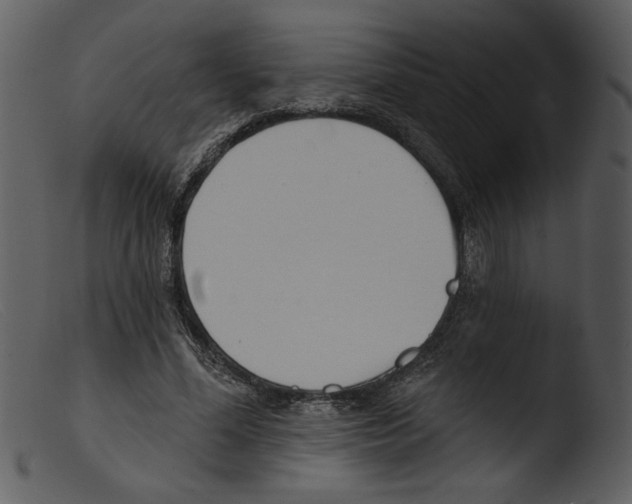 X0000103260588200809261141