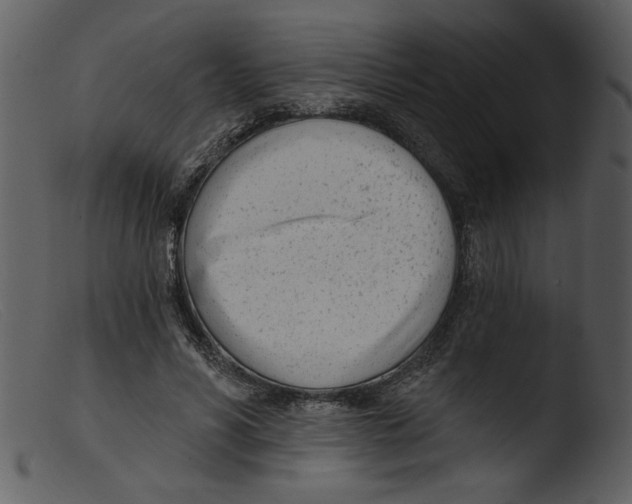 X0000103260590200809261141