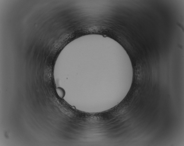 X0000103260593200809261141