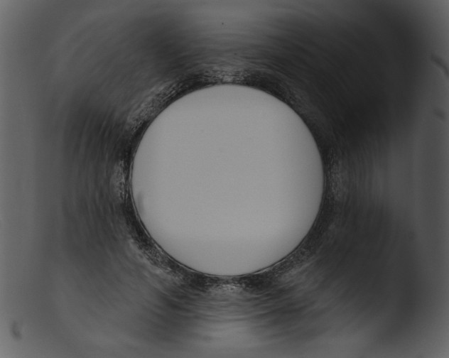 X0000103260594200809261141