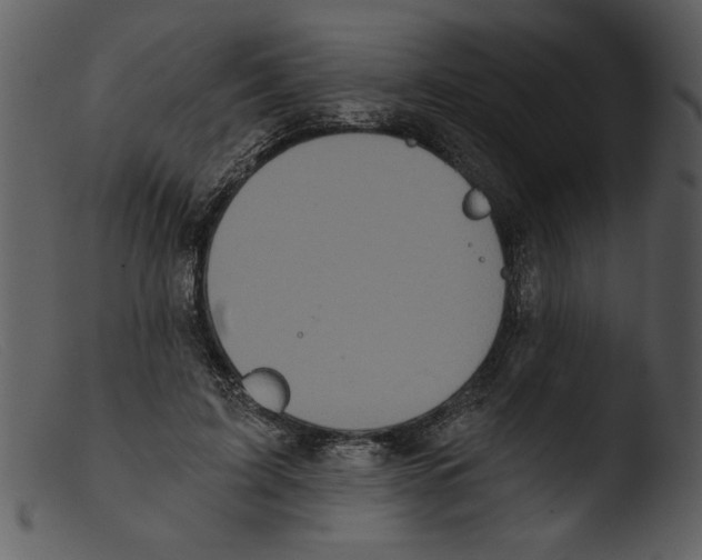 X0000103260595200809261141