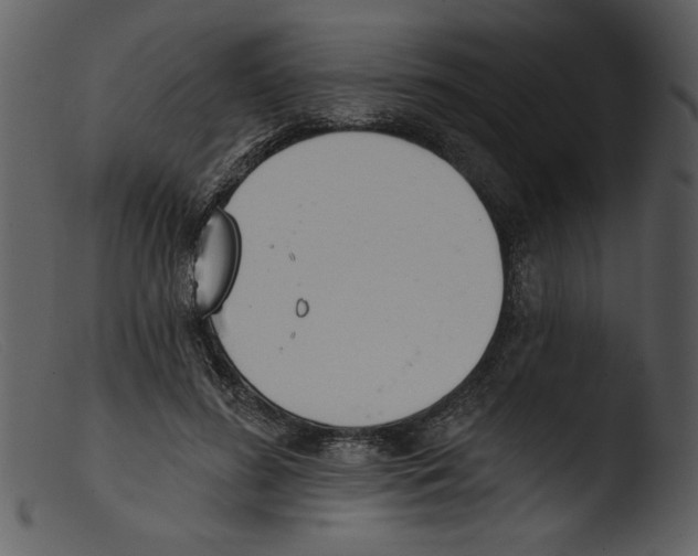 X0000103260596200809261141