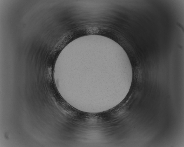 X0000103260598200809261141