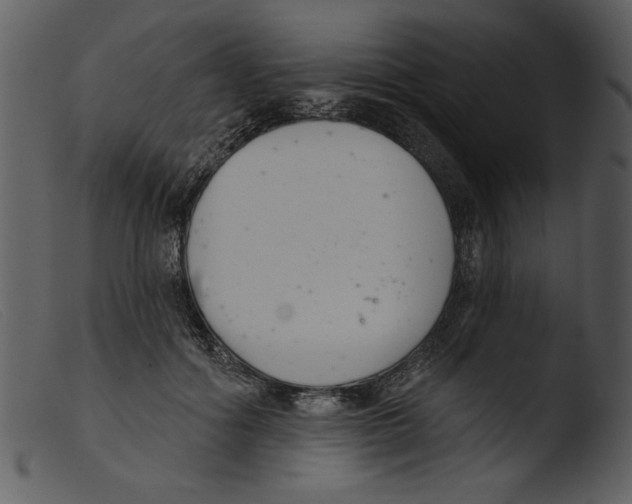 X0000103260602200809261141