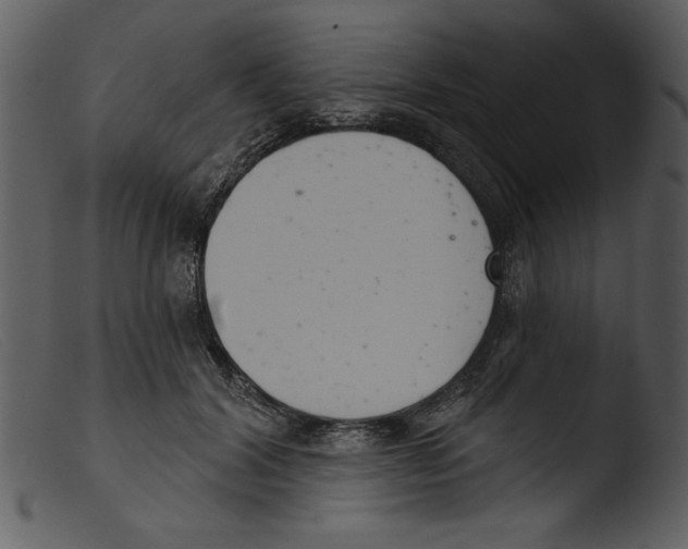 X0000103260604200809261141