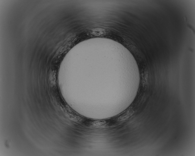 X0000103260606200809261141