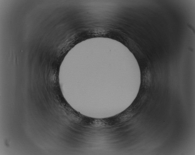 X0000103260608200809261141