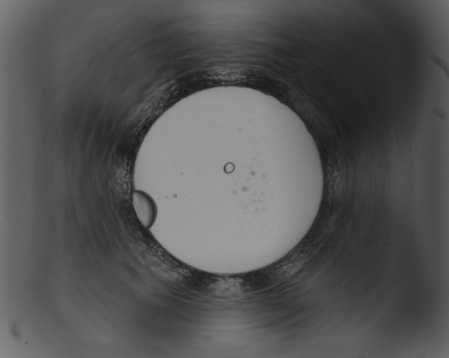 X0000103260609200809261141