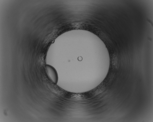 X0000103260611200809261140