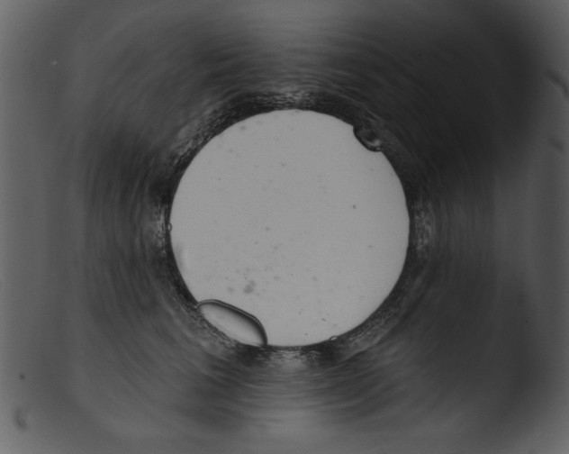 X0000103260613200809261140