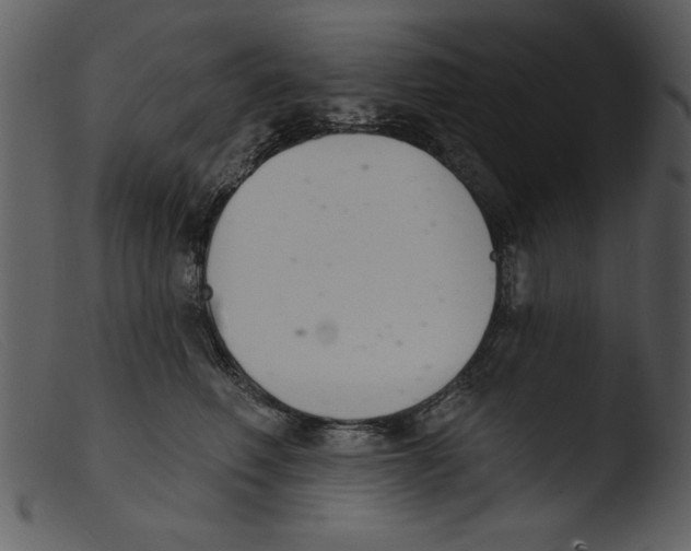 X0000103260614200809261140