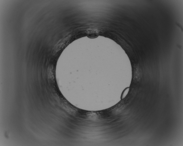 X0000103260616200809261140