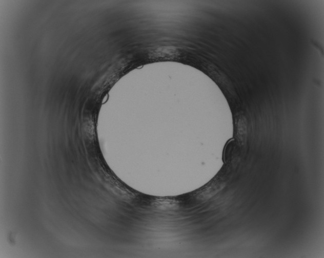 X0000103260617200809261140