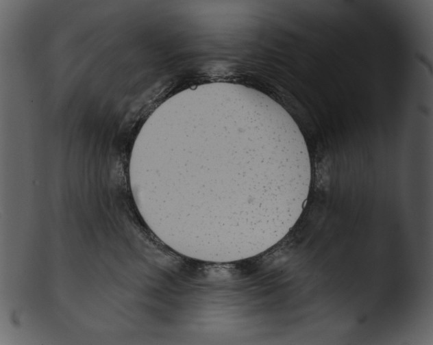 X0000103260618200809261140