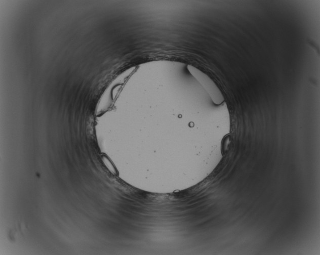 X0000103260621200809261140