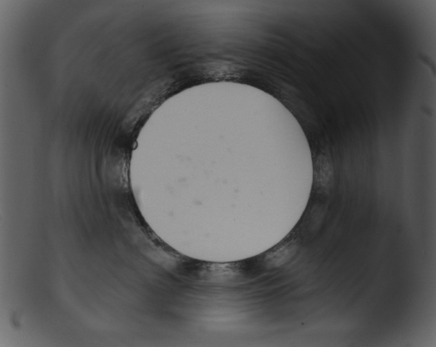 X0000103260622200809261140