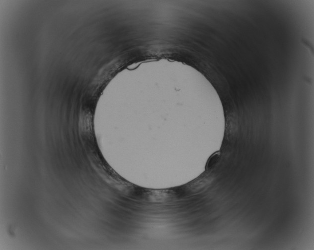 X0000103260623200809261140