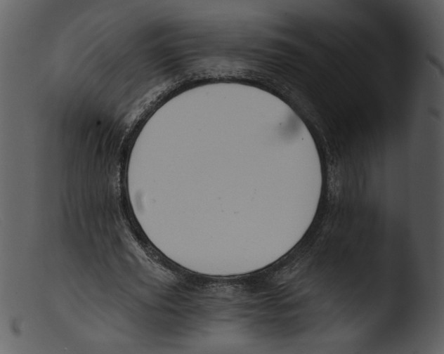 X0000103260629200809261140