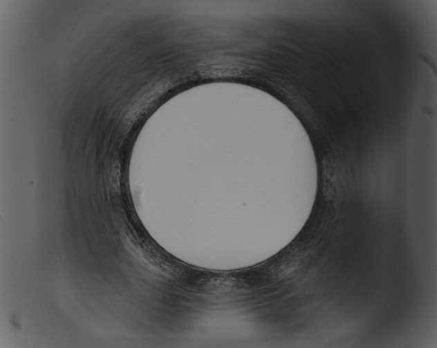 X0000103260631200809261140