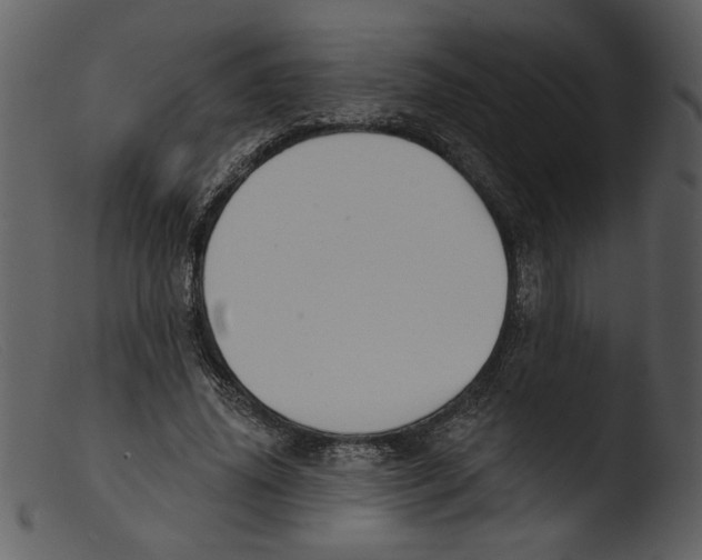 X0000103260636200809261140